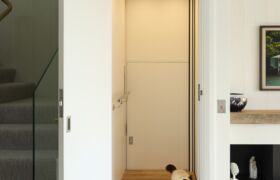 Hallway showing the discreet lift door and stair with glass balustrade; cat on the timber floor in soft light.