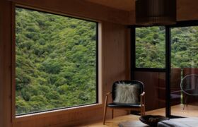 Timber-lined corner with window seat and an oversized opening framing close-range bush.